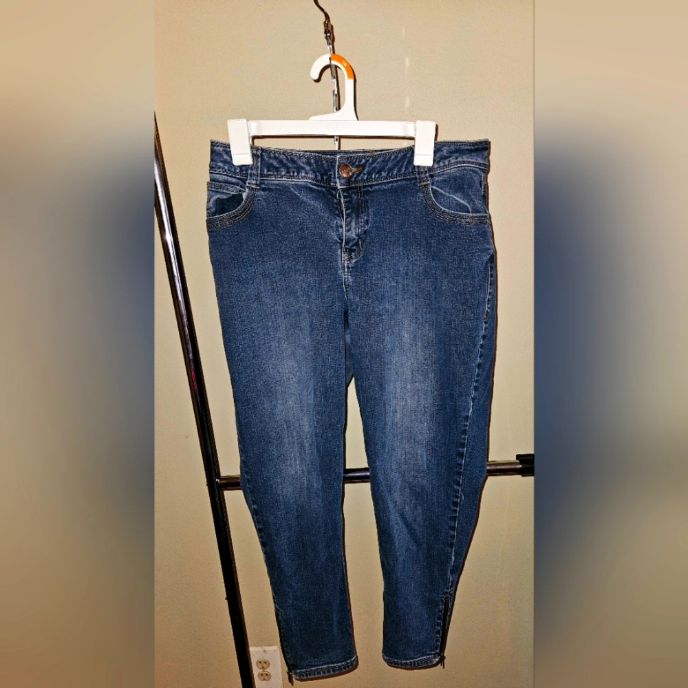 Lane Bryant  Jeans